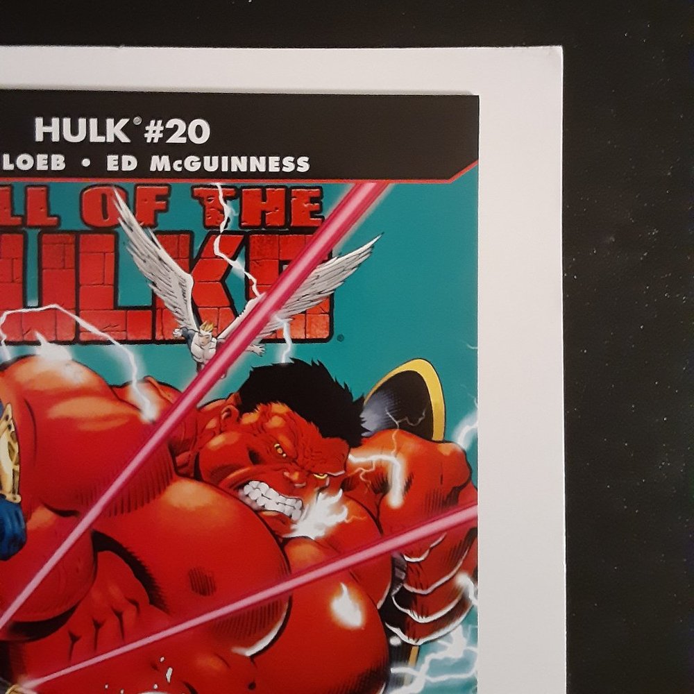 HULK #20A (2008 SERIES) RED HULK COVER BY ED MCGUINNESS, WRITTEN BY JEPH LOEB - Picture 3 of 10